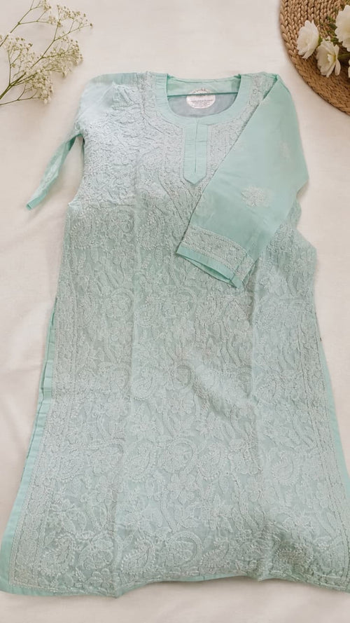 Punarnava Full jaal chikankari kurti